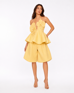 The soleil set